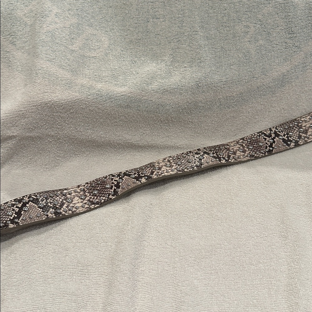 Brighton Rockstar Strap - Picture 4 of 5